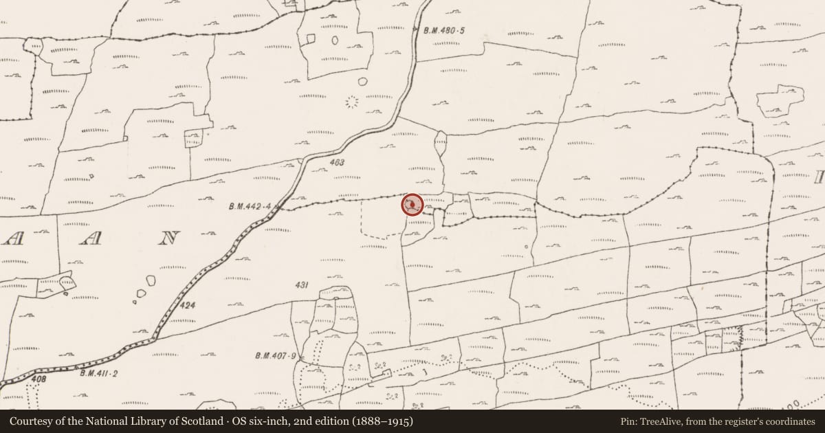 Ordnance Survey six-inch map, 2nd edition (1888–1915) covering the location of Enclosure, Kiltaan, Noughaval, County Clare, with a pin at the register's coordinates