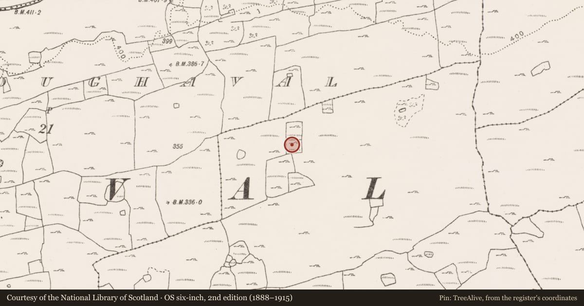 Ordnance Survey six-inch map, 2nd edition (1888–1915) covering the location of Souterrain, Ballyganner North, County Clare, with a pin at the register's coordinates