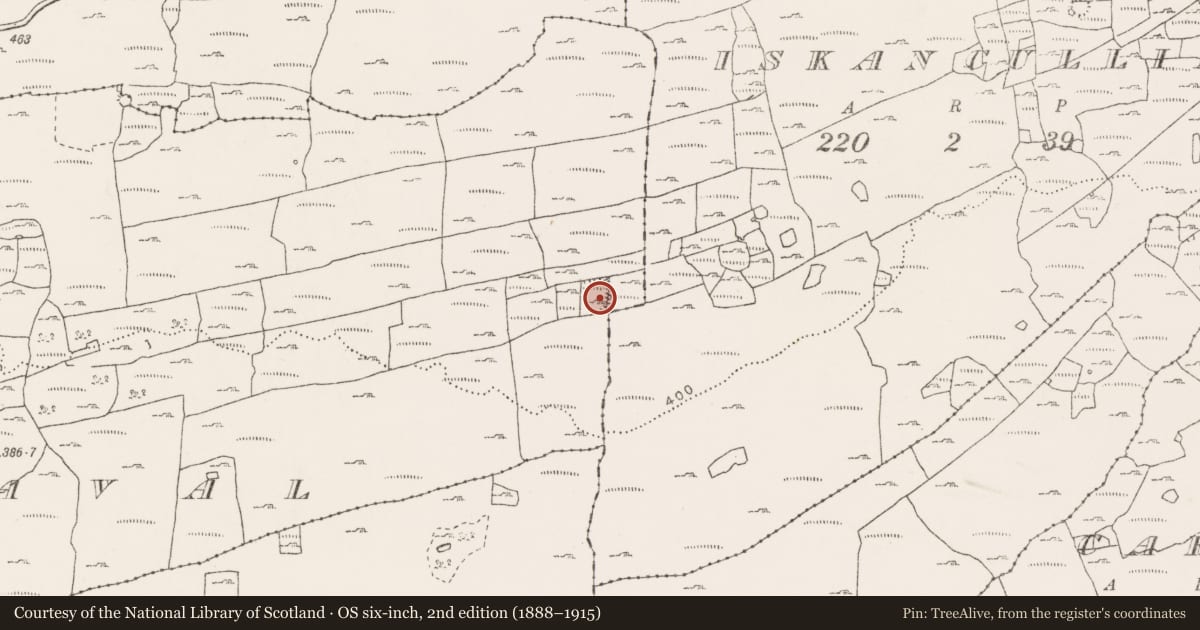 Ordnance Survey six-inch map, 2nd edition (1888–1915) covering the location of Ringfort - cashel, Noughaval, County Clare, with a pin at the register's coordinates