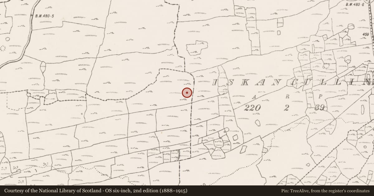 Ordnance Survey six-inch map, 2nd edition (1888–1915) covering the location of Cairn - ring-cairn, Noughaval, County Clare, with a pin at the register's coordinates