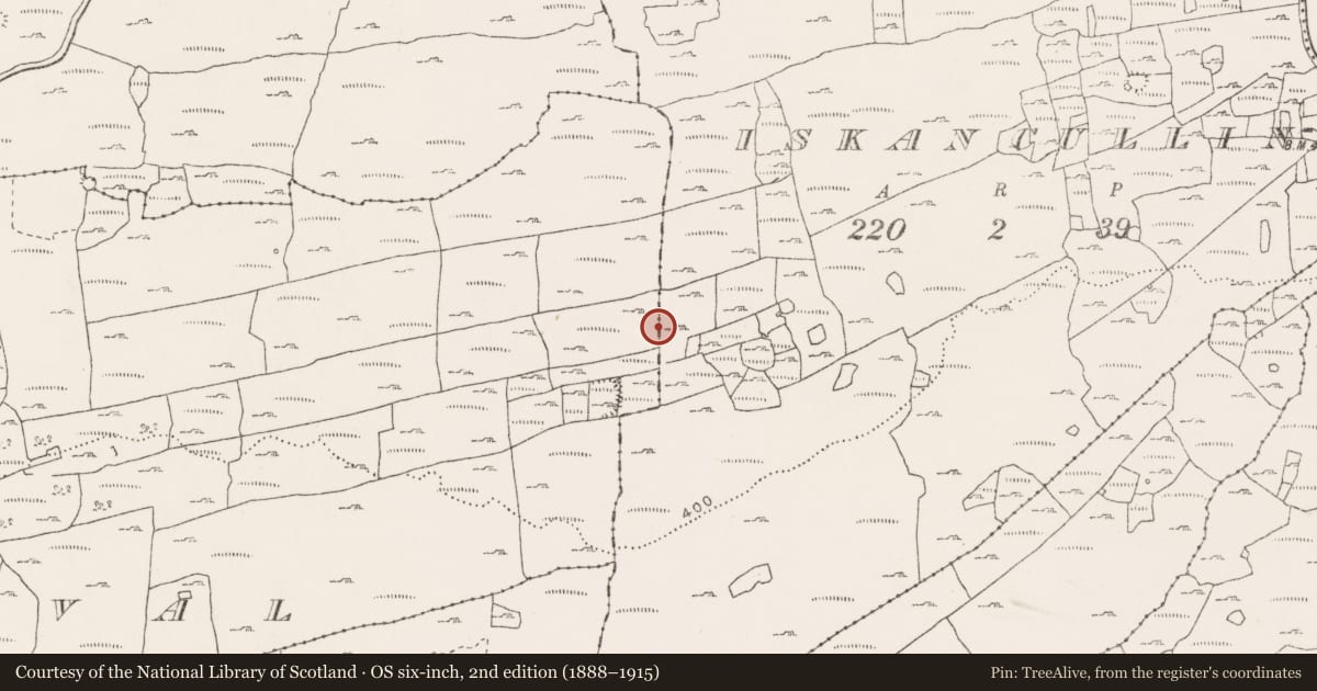 Ordnance Survey six-inch map, 2nd edition (1888–1915) covering the location of Cist, Noughaval, County Clare, with a pin at the register's coordinates