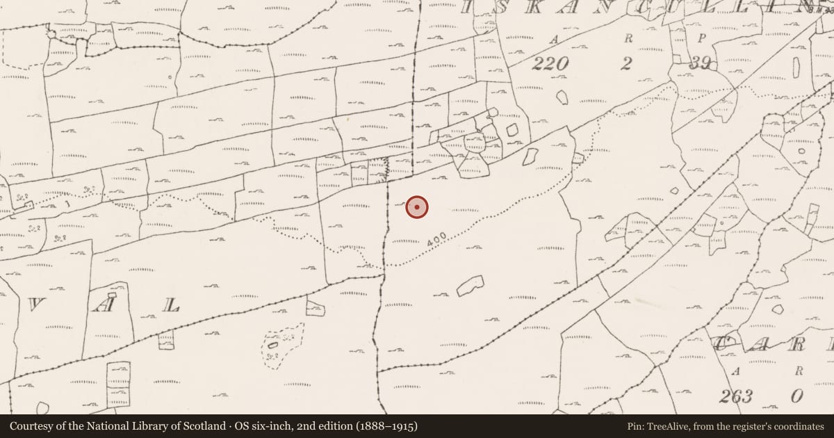 Ordnance Survey six-inch map, 2nd edition (1888–1915) covering the location of Megalithic tomb - wedge tomb, Iskancullin, County Clare, with a pin at the register's coordinates