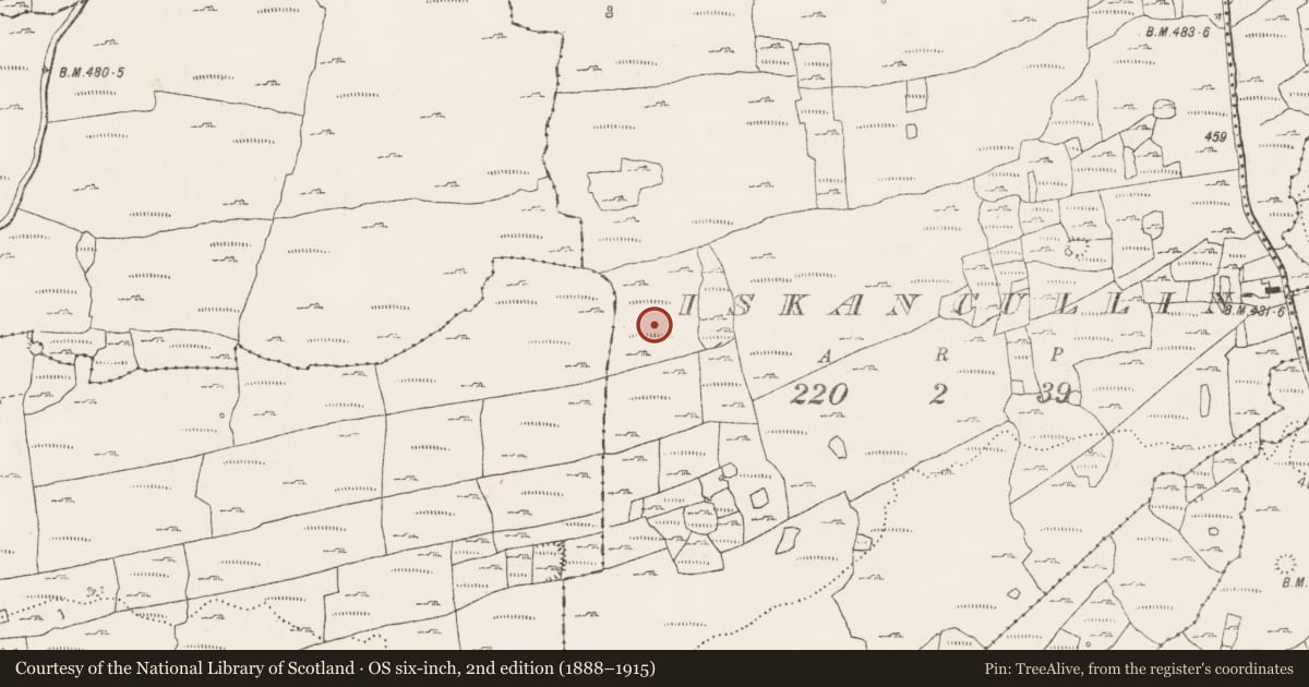 Ordnance Survey six-inch map, 2nd edition (1888–1915) covering the location of Enclosure, Iskancullin, County Clare, with a pin at the register's coordinates
