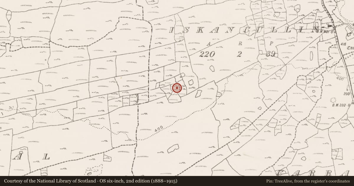 Ordnance Survey six-inch map, 2nd edition (1888–1915) covering the location of Enclosure, Iskancullin, County Clare, with a pin at the register's coordinates