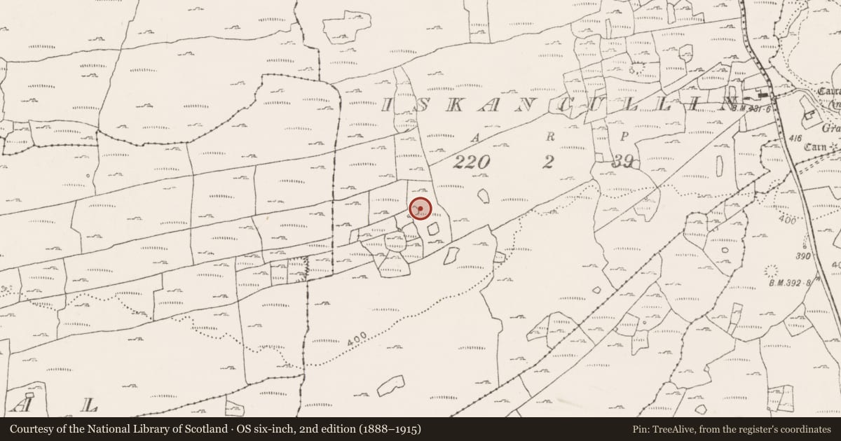 Ordnance Survey six-inch map, 2nd edition (1888–1915) covering the location of Ringfort - cashel, Iskancullin, County Clare, with a pin at the register's coordinates