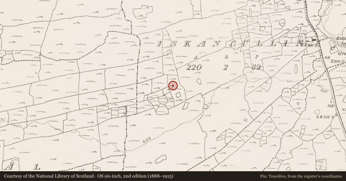 Ordnance Survey six-inch map, 2nd edition (1888–1915) covering the location of Souterrain, Iskancullin, County Clare, with a pin at the register's coordinates