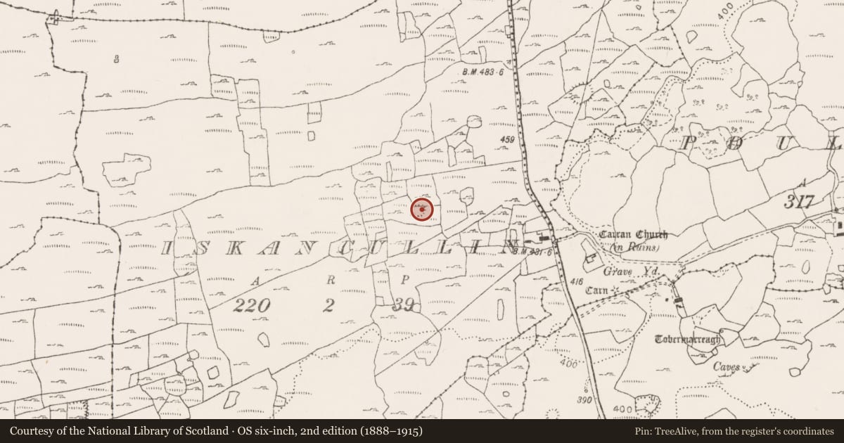 Ordnance Survey six-inch map, 2nd edition (1888–1915) covering the location of Ringfort - cashel, Iskancullin, County Clare, with a pin at the register's coordinates