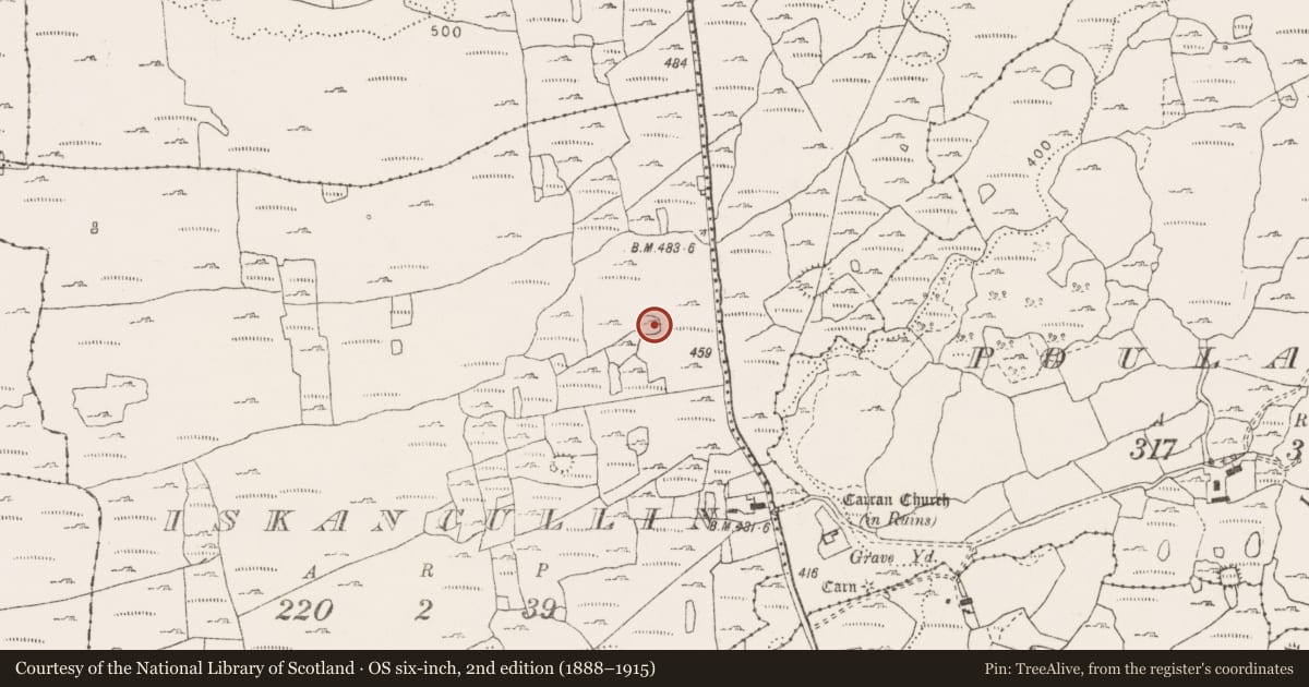 Ordnance Survey six-inch map, 2nd edition (1888–1915) covering the location of Enclosure, Iskancullin, County Clare, with a pin at the register's coordinates