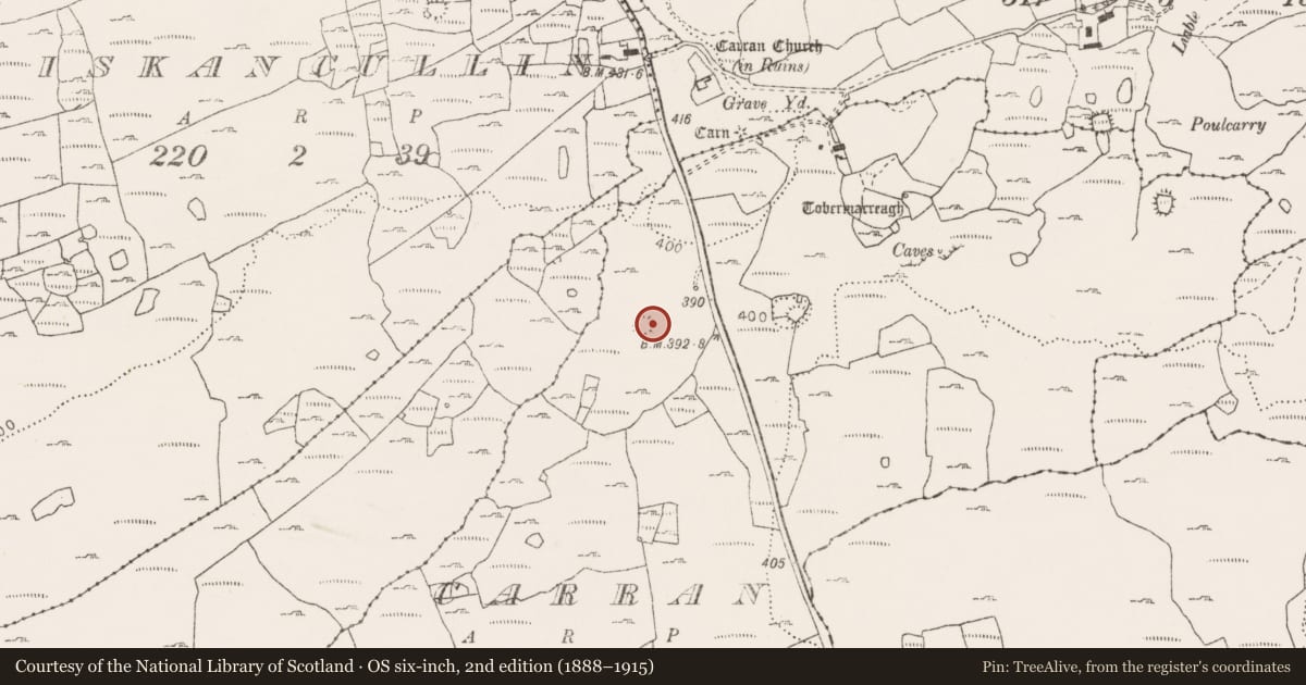Ordnance Survey six-inch map, 2nd edition (1888–1915) covering the location of Ringfort - cashel, Carran, County Clare, with a pin at the register's coordinates