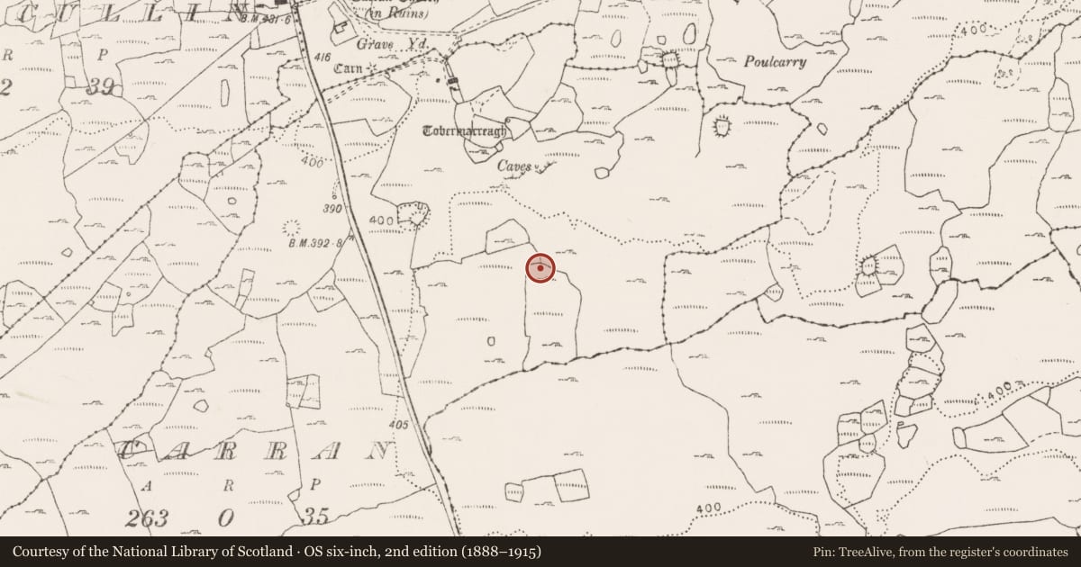 Ordnance Survey six-inch map, 2nd edition (1888–1915) covering the location of Field system, Carran, County Clare, with a pin at the register's coordinates