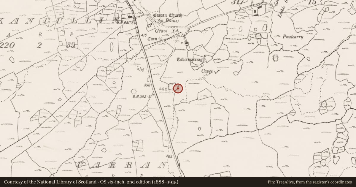 Ordnance Survey six-inch map, 2nd edition (1888–1915) covering the location of Ringfort - cashel, Carran, County Clare, with a pin at the register's coordinates
