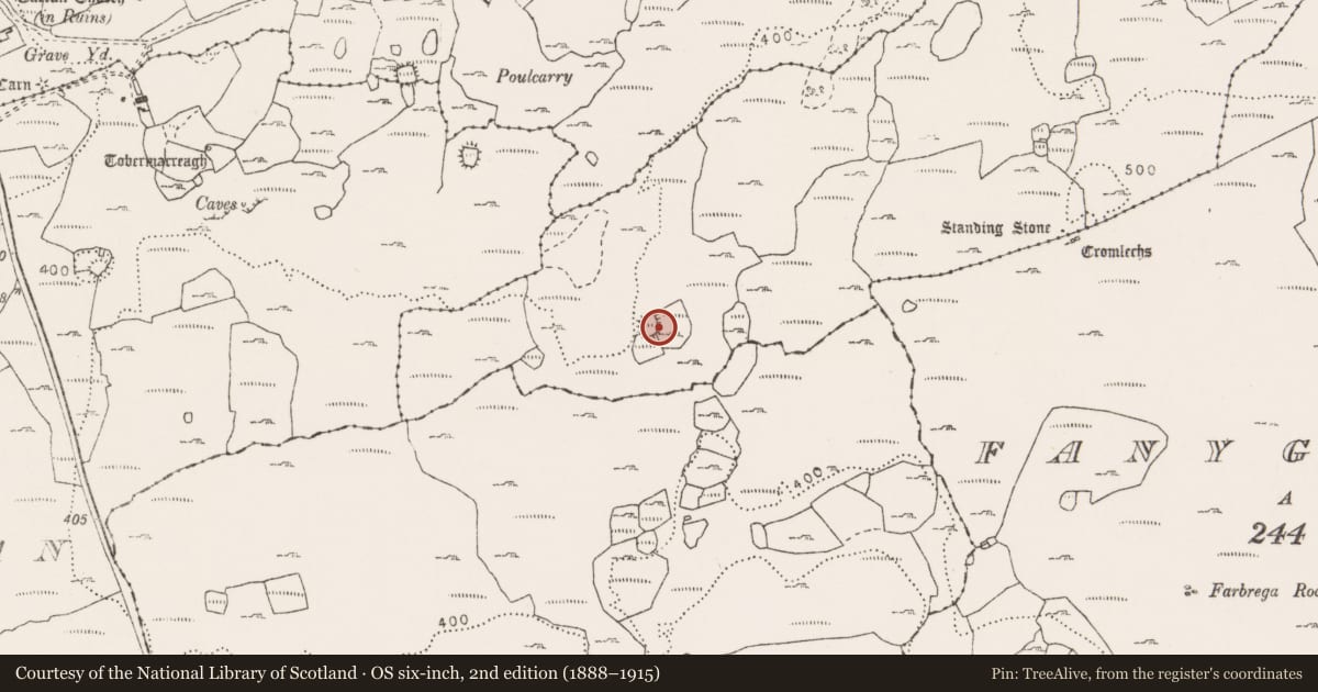 Ordnance Survey six-inch map, 2nd edition (1888–1915) covering the location of Ringfort - cashel, Cahermackirilla, County Clare, with a pin at the register's coordinates
