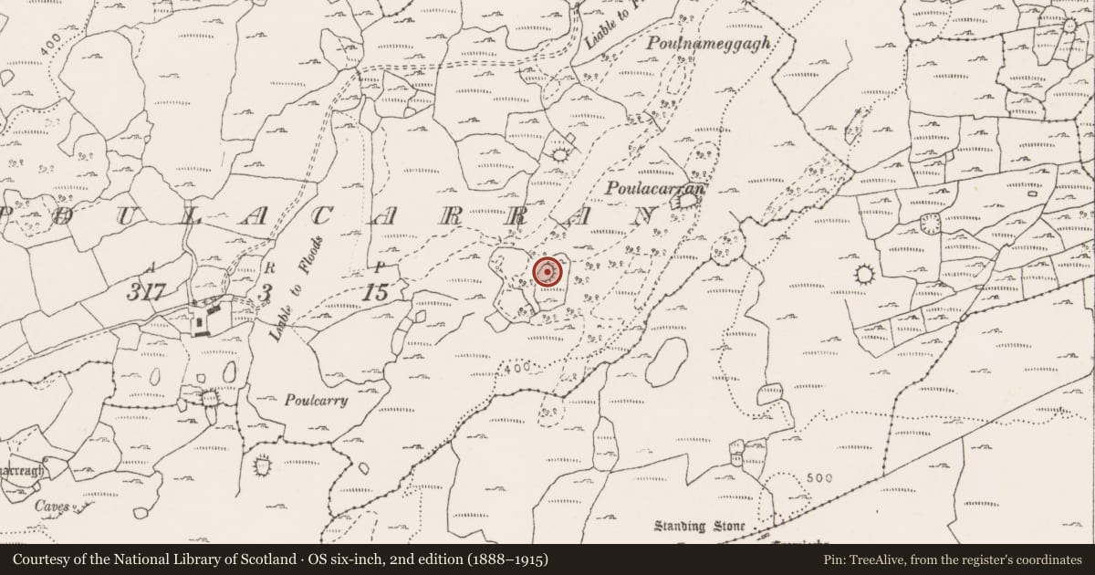 Ordnance Survey six-inch map, 2nd edition (1888–1915) covering the location of Cliff-edge fort, Poulacarran, County Clare, with a pin at the register's coordinates
