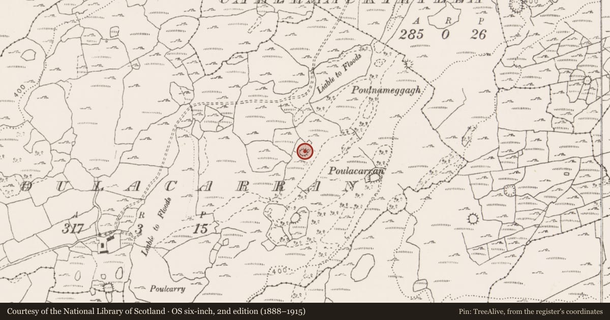 Ordnance Survey six-inch map, 2nd edition (1888–1915) covering the location of Ringfort - cashel, Poulacarran, County Clare, with a pin at the register's coordinates