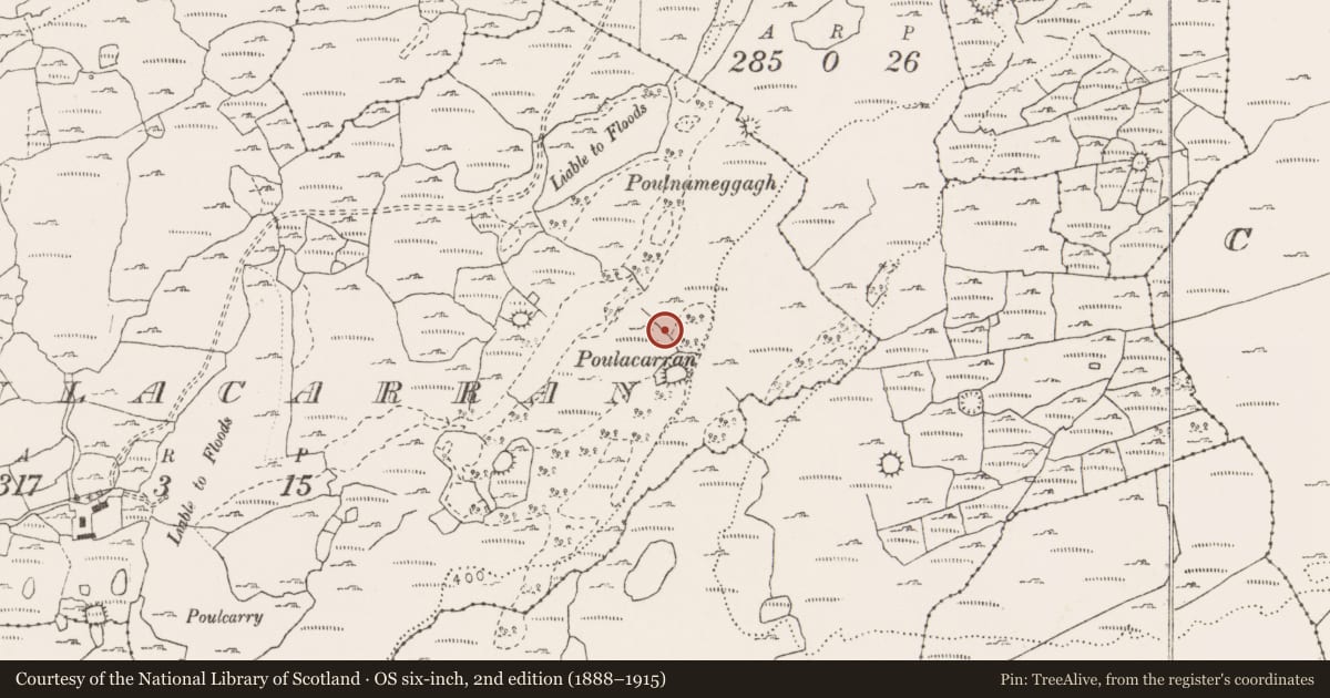 Ordnance Survey six-inch map, 2nd edition (1888–1915) covering the location of Standing stone, Poulacarran, County Clare, with a pin at the register's coordinates