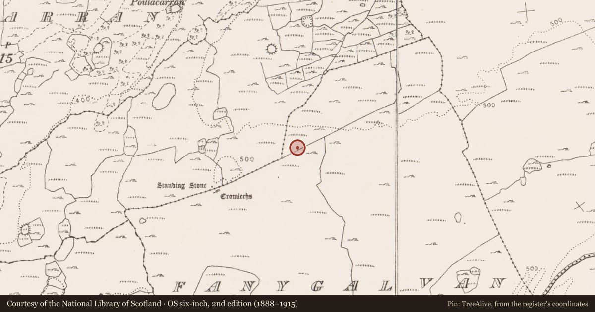 Ordnance Survey six-inch map, 2nd edition (1888–1915) covering the location of Field system, County Clare, with a pin at the register's coordinates