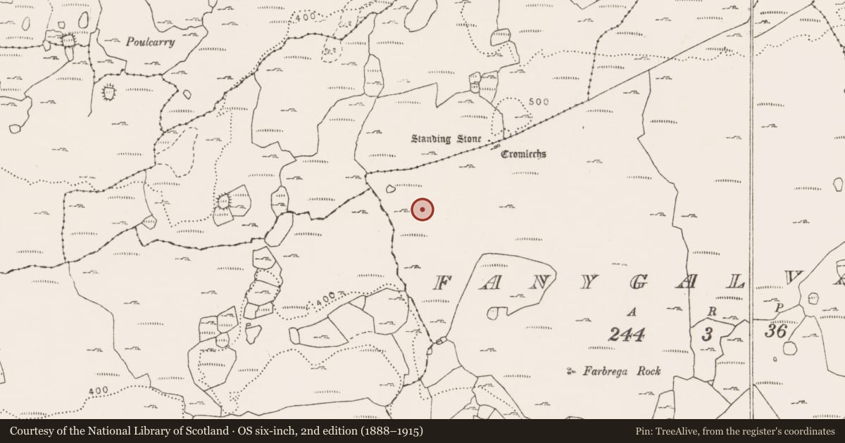 Ordnance Survey six-inch map, 2nd edition (1888–1915) covering the location of Booley hut, Fanygalvan, County Clare, with a pin at the register's coordinates