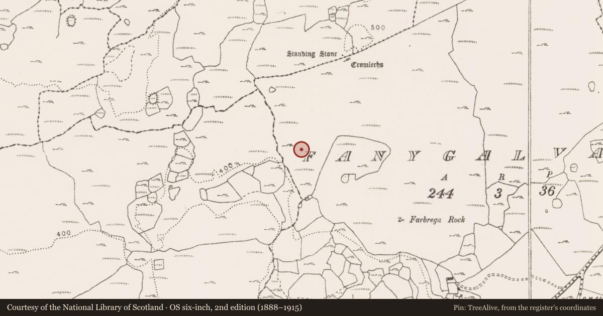 Ordnance Survey six-inch map, 2nd edition (1888–1915) covering the location of Fulacht fia, Fanygalvan, County Clare, with a pin at the register's coordinates