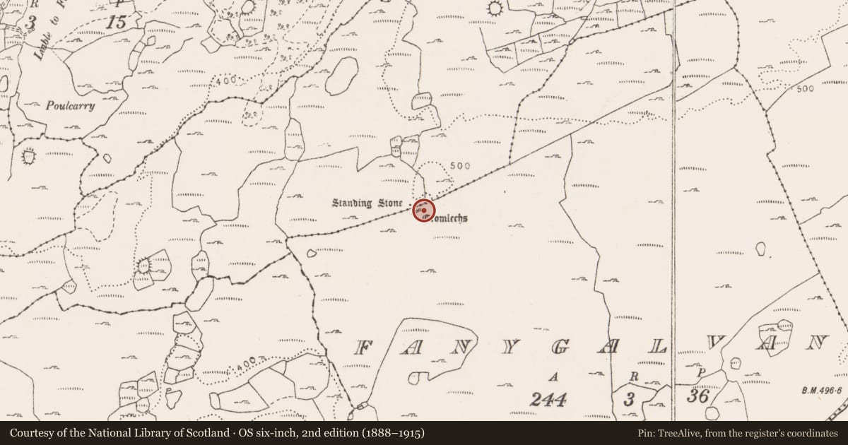 Ordnance Survey six-inch map, 2nd edition (1888–1915) covering the location of Megalithic tomb - wedge tomb, Fanygalvan, County Clare, with a pin at the register's coordinates