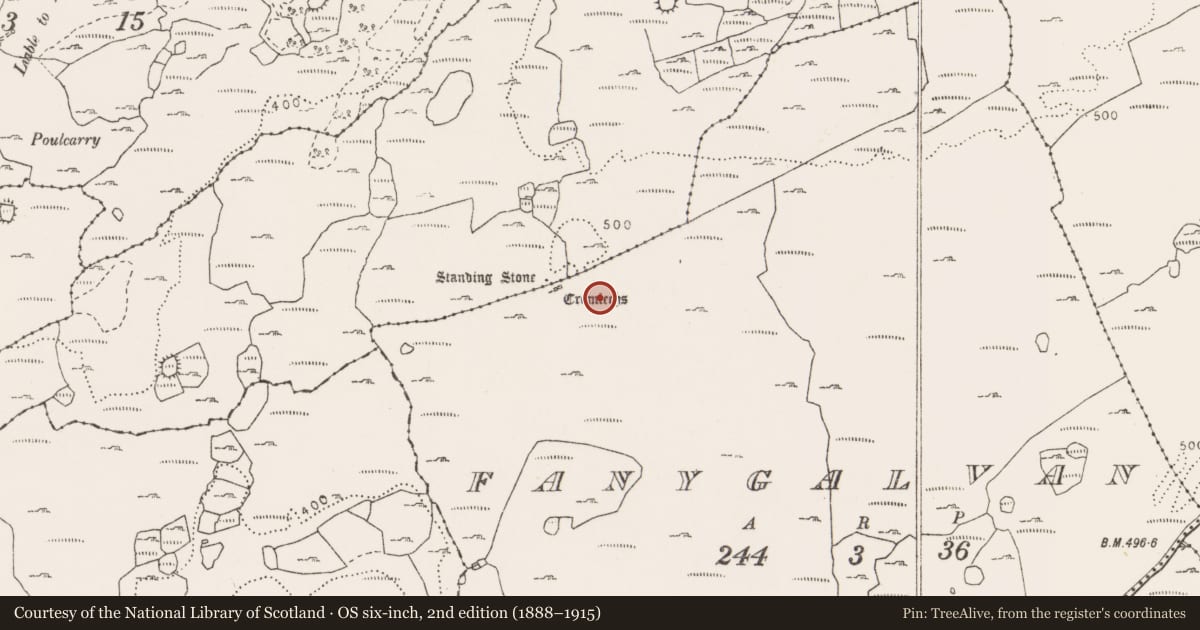 Ordnance Survey six-inch map, 2nd edition (1888–1915) covering the location of Cairn - unclassified, Fanygalvan, County Clare, with a pin at the register's coordinates