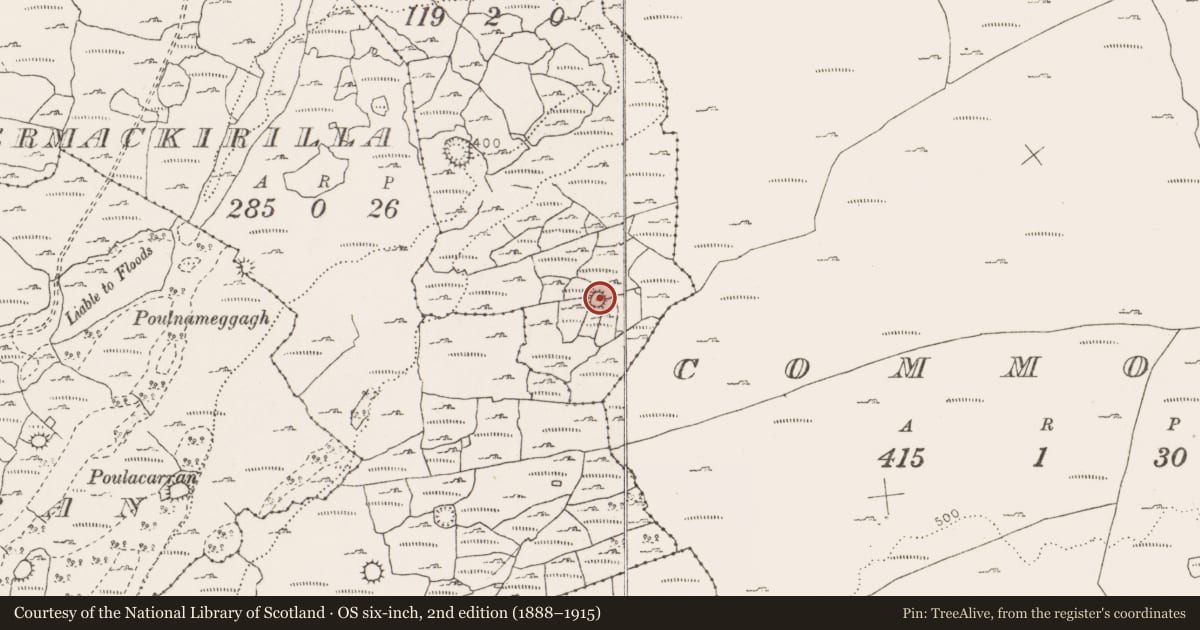 Ordnance Survey six-inch map, 2nd edition (1888–1915) covering the location of Ringfort - cashel, Meggagh West, County Clare, with a pin at the register's coordinates