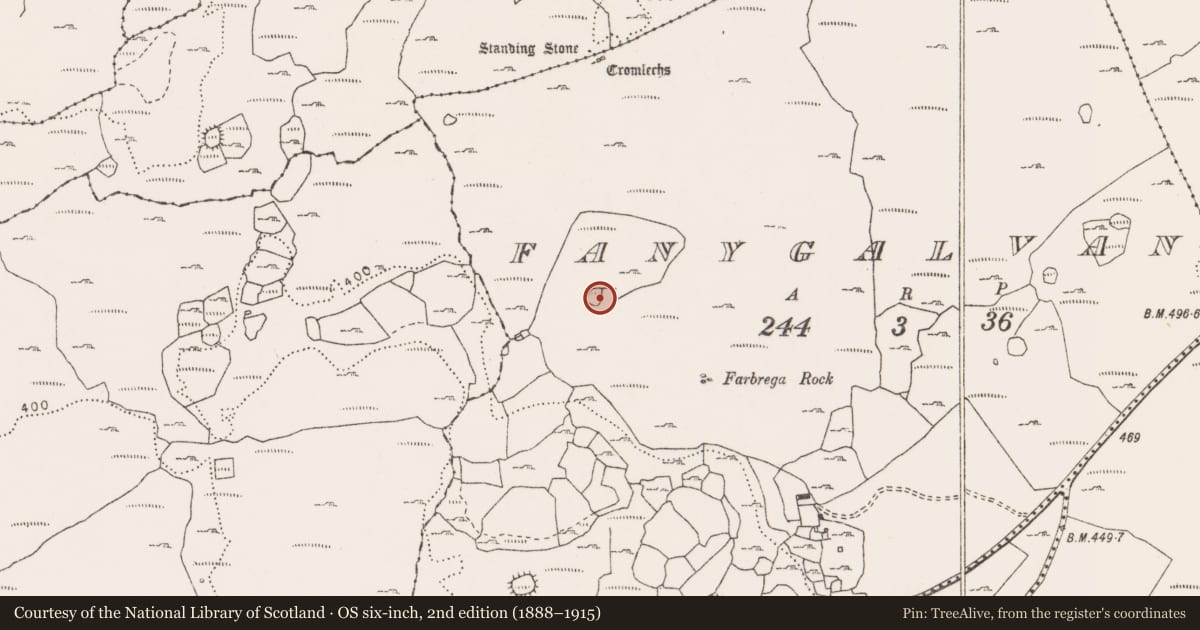 Ordnance Survey six-inch map, 2nd edition (1888–1915) covering the location of Enclosure, Fanygalvan, County Clare, with a pin at the register's coordinates