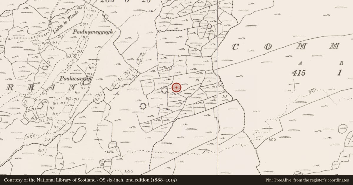 Ordnance Survey six-inch map, 2nd edition (1888–1915) covering the location of Hut site, Cahermackirilla, County Clare, with a pin at the register's coordinates