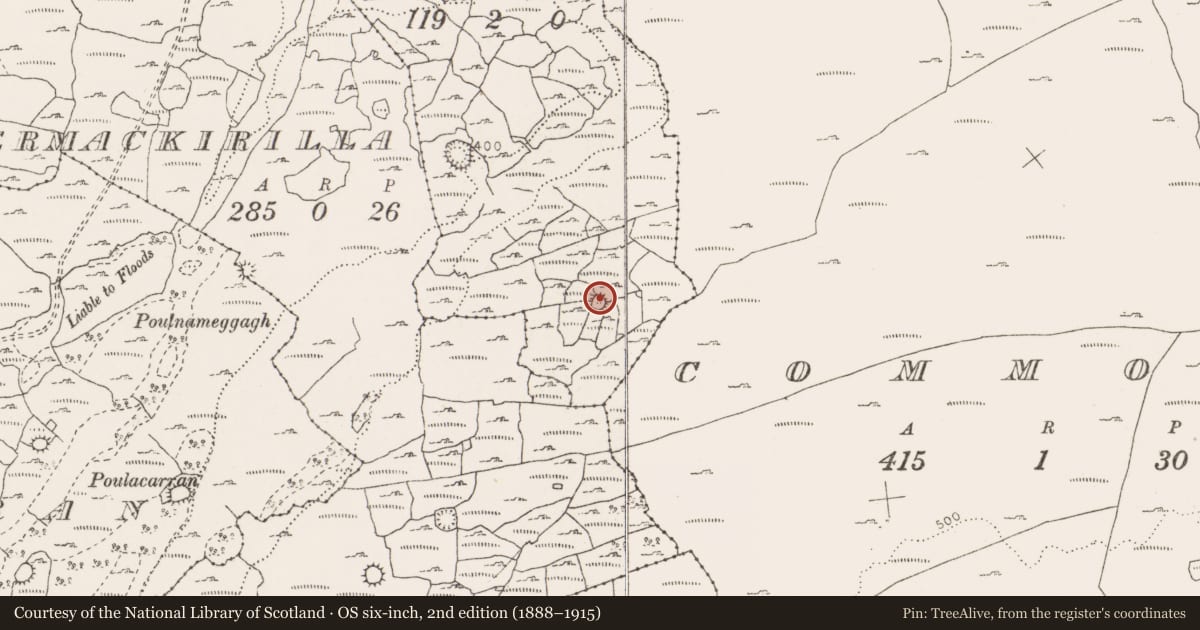 Ordnance Survey six-inch map, 2nd edition (1888–1915) covering the location of Souterrain, Meggagh West, County Clare, with a pin at the register's coordinates