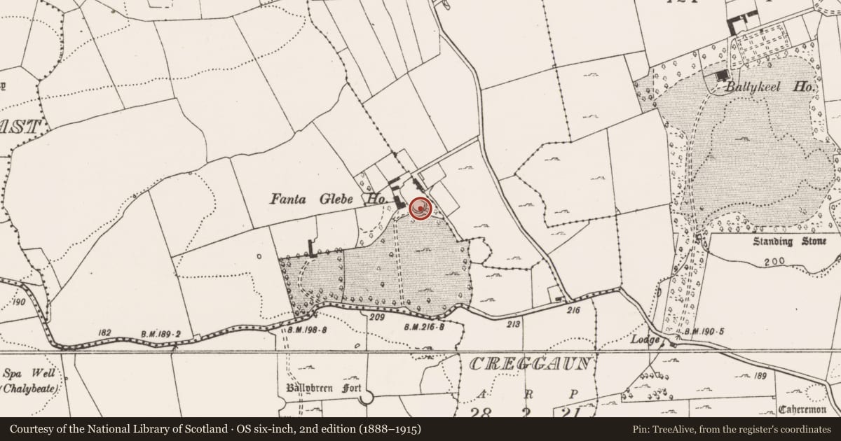 Ordnance Survey six-inch map, 2nd edition (1888–1915) covering the location of Ringfort - cashel, Fanta Glebe, County Clare, with a pin at the register's coordinates