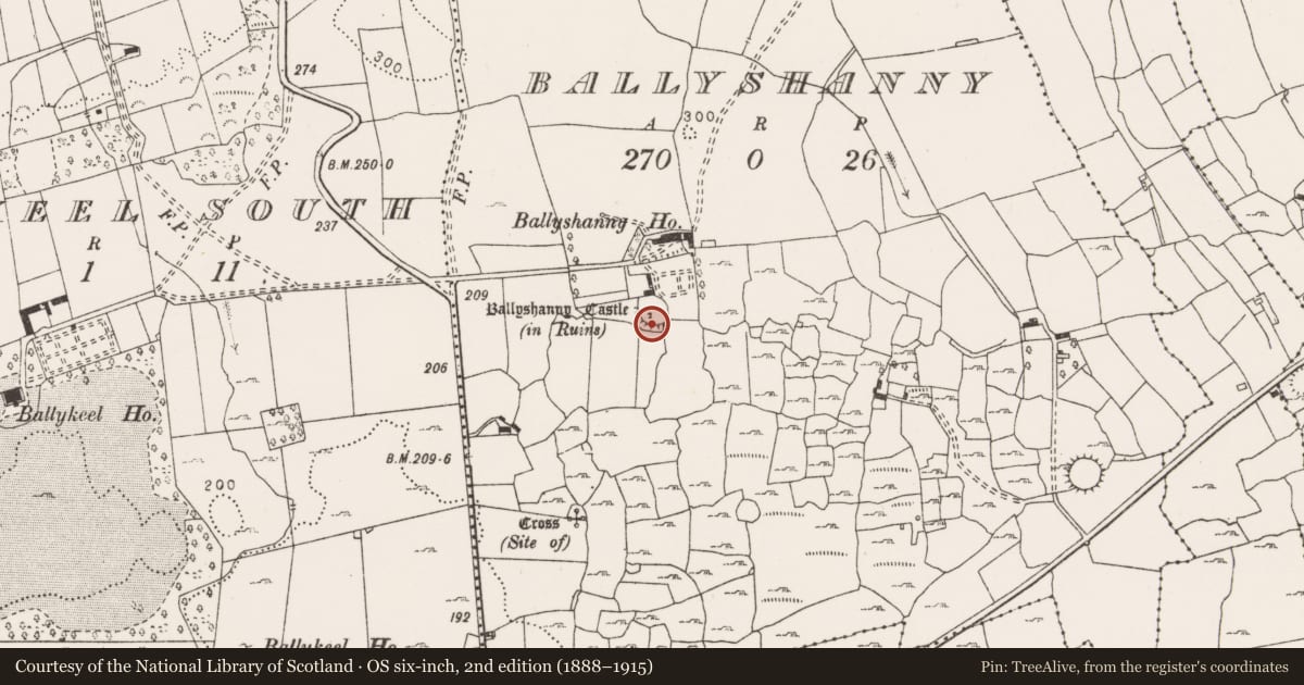 Ordnance Survey six-inch map, 2nd edition (1888–1915) covering the location of Castle - tower house, Ballyshanny, County Clare, with a pin at the register's coordinates