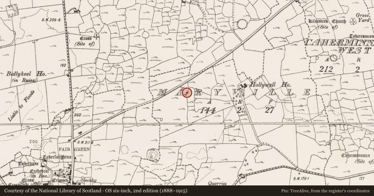 Ordnance Survey six-inch map, 2nd edition (1888–1915) covering the location of Ringfort - cashel, Maryville, County Clare, with a pin at the register's coordinates