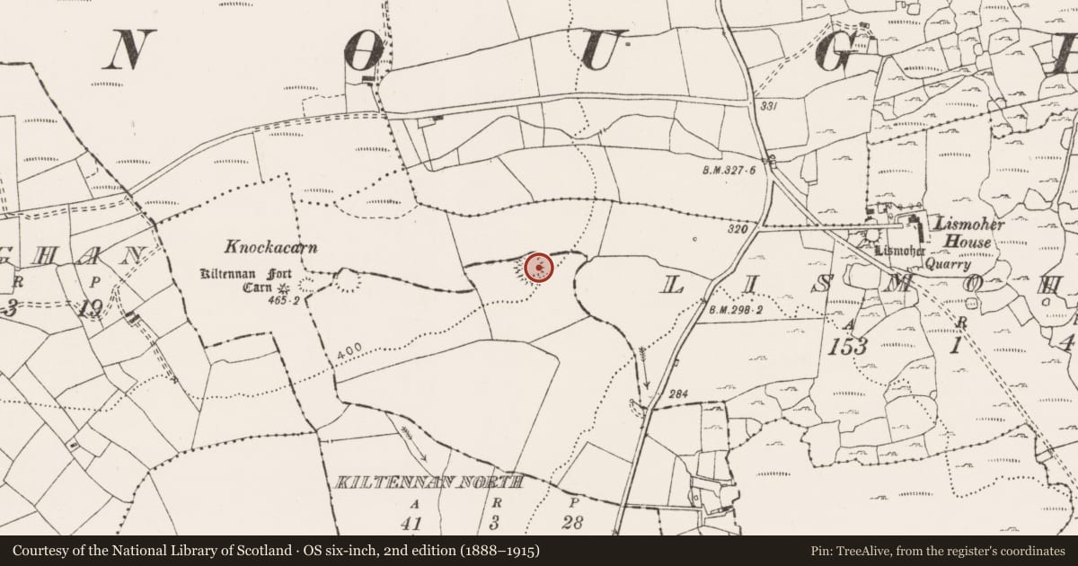 Ordnance Survey six-inch map, 2nd edition (1888–1915) covering the location of Ringfort - rath, Ballyhomulta, County Clare, with a pin at the register's coordinates