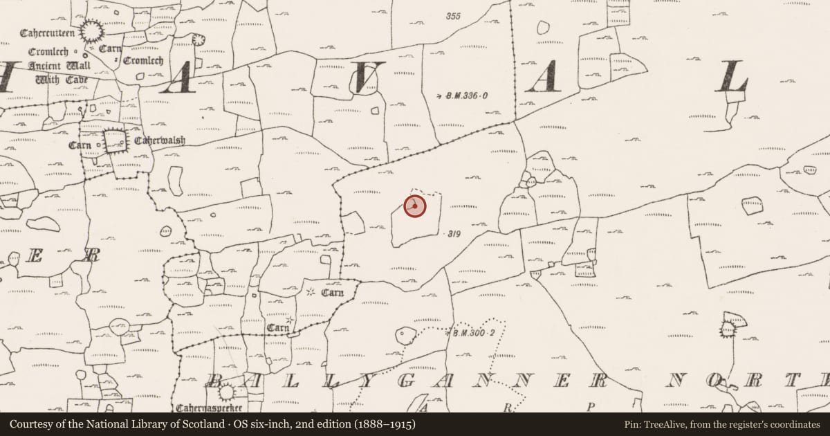 Ordnance Survey six-inch map, 2nd edition (1888–1915) covering the location of Enclosure, Ballyganner North, County Clare, with a pin at the register's coordinates
