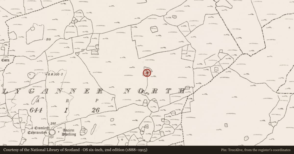 Ordnance Survey six-inch map, 2nd edition (1888–1915) covering the location of Ringfort - cashel, Ballyganner North, County Clare, with a pin at the register's coordinates