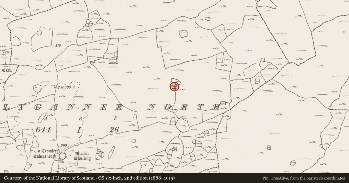 Ordnance Survey six-inch map, 2nd edition (1888–1915) covering the location of Structure, Ballyganner North, County Clare, with a pin at the register's coordinates