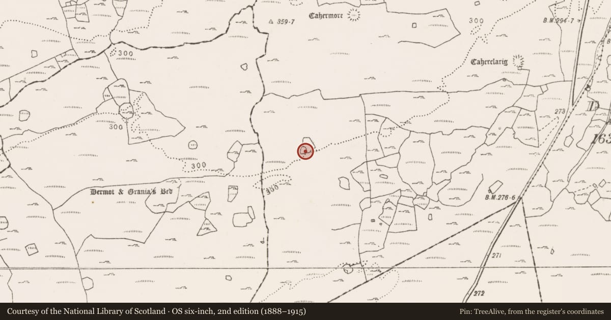 Ordnance Survey six-inch map, 2nd edition (1888–1915) covering the location of Enclosure, Sheshymore, County Clare, with a pin at the register's coordinates