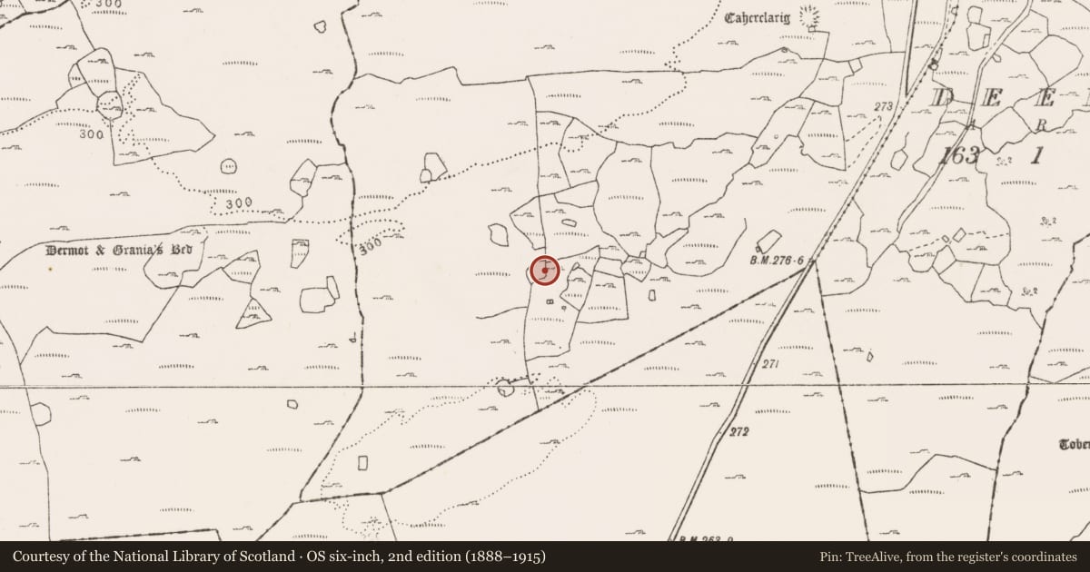 Ordnance Survey six-inch map, 2nd edition (1888–1915) covering the location of Enclosure, Sheshymore, County Clare, with a pin at the register's coordinates