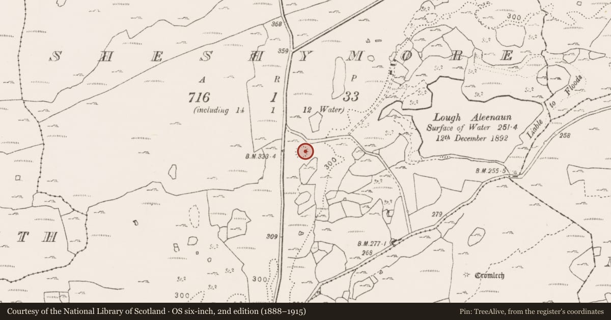 Ordnance Survey six-inch map, 2nd edition (1888–1915) covering the location of Ringfort - cashel, Sheshymore, County Clare, with a pin at the register's coordinates
