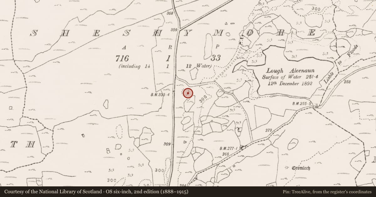 Ordnance Survey six-inch map, 2nd edition (1888–1915) covering the location of Souterrain, Sheshymore, County Clare, with a pin at the register's coordinates