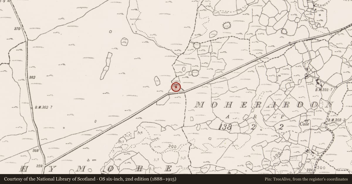 Ordnance Survey six-inch map, 2nd edition (1888–1915) covering the location of Ringfort - cashel, Sheshymore, Moheraroon, County Clare, with a pin at the register's coordinates