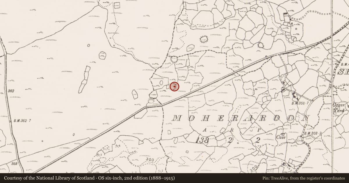 Ordnance Survey six-inch map, 2nd edition (1888–1915) covering the location of Ringfort - cashel, Moheraroon, County Clare, with a pin at the register's coordinates