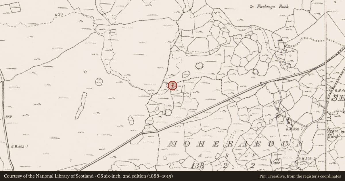 Ordnance Survey six-inch map, 2nd edition (1888–1915) covering the location of Ringfort - cashel, Fanygalvan, Moheraroon, County Clare, with a pin at the register's coordinates