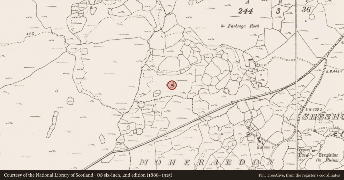 Ordnance Survey six-inch map, 2nd edition (1888–1915) covering the location of Ringfort - cashel, Fanygalvan, County Clare, with a pin at the register's coordinates