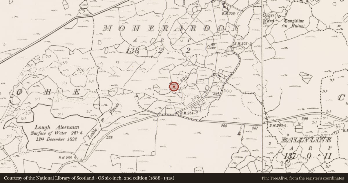 Ordnance Survey six-inch map, 2nd edition (1888–1915) covering the location of Enclosure, Moheraroon, County Clare, with a pin at the register's coordinates