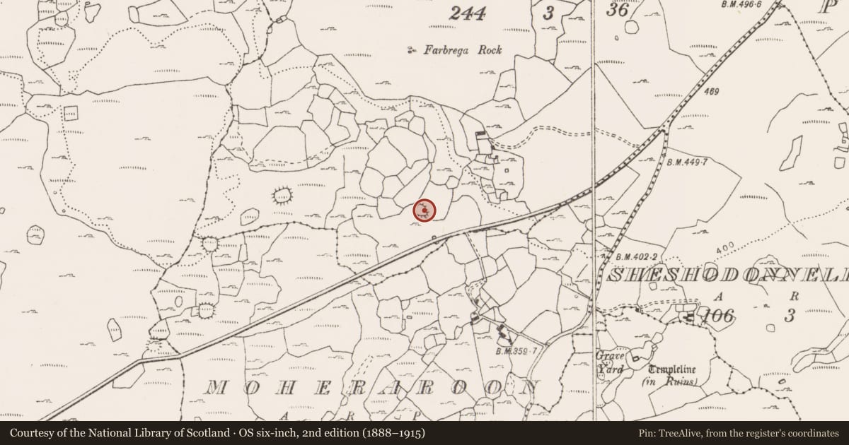 Ordnance Survey six-inch map, 2nd edition (1888–1915) covering the location of Ringfort - cashel, Fanygalvan, County Clare, with a pin at the register's coordinates