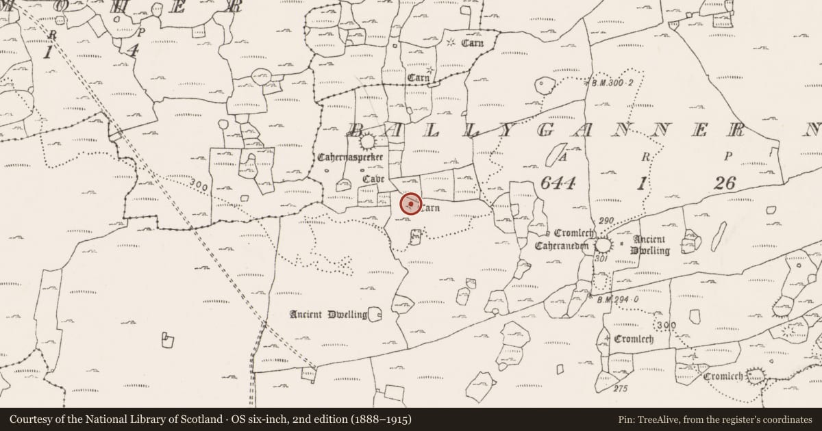 Ordnance Survey six-inch map, 2nd edition (1888–1915) covering the location of Cist, Ballyganner North, County Clare, with a pin at the register's coordinates