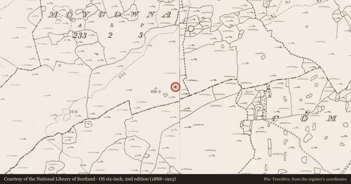 Ordnance Survey six-inch map, 2nd edition (1888–1915) covering the location of Cairn - unclassified, Moygowna, County Clare, with a pin at the register's coordinates