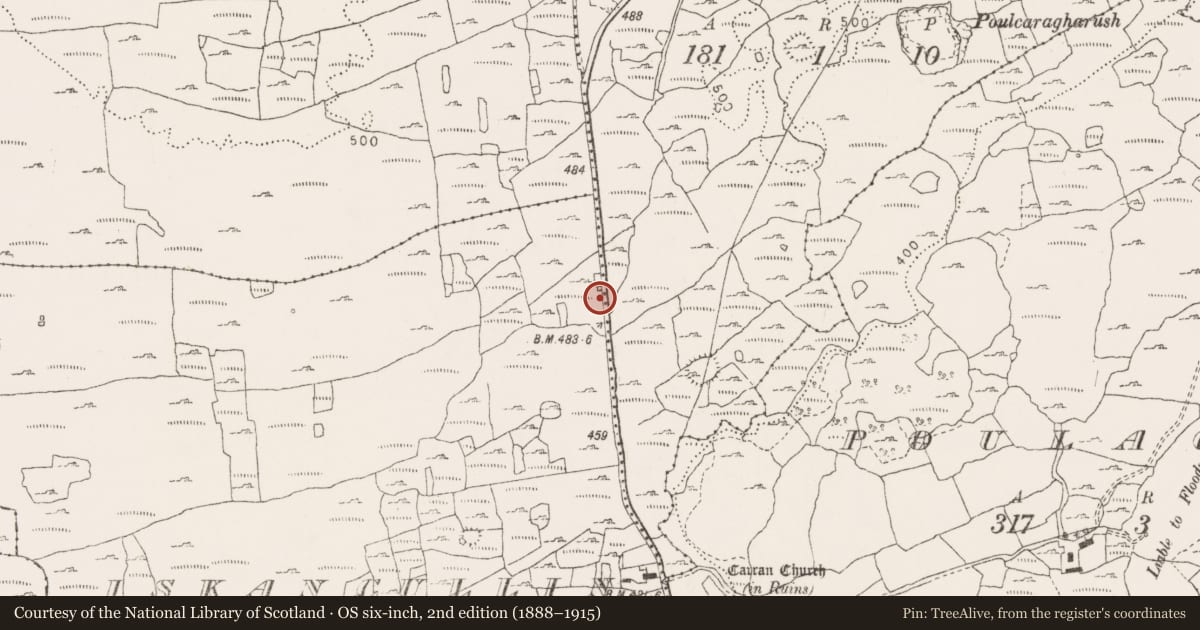 Ordnance Survey six-inch map, 2nd edition (1888–1915) covering the location of Cairn - unclassified, Iskancullin, County Clare, with a pin at the register's coordinates