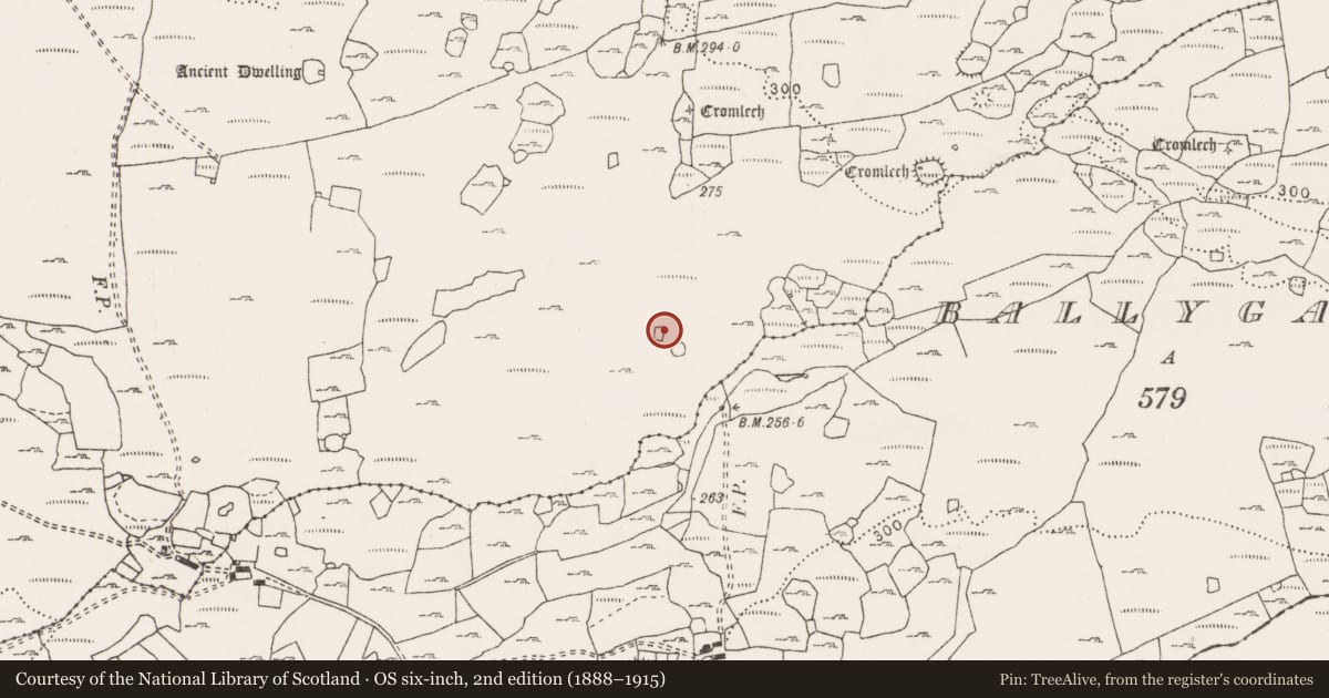 Ordnance Survey six-inch map, 2nd edition (1888–1915) covering the location of Enclosure, Ballyganner North, County Clare, with a pin at the register's coordinates