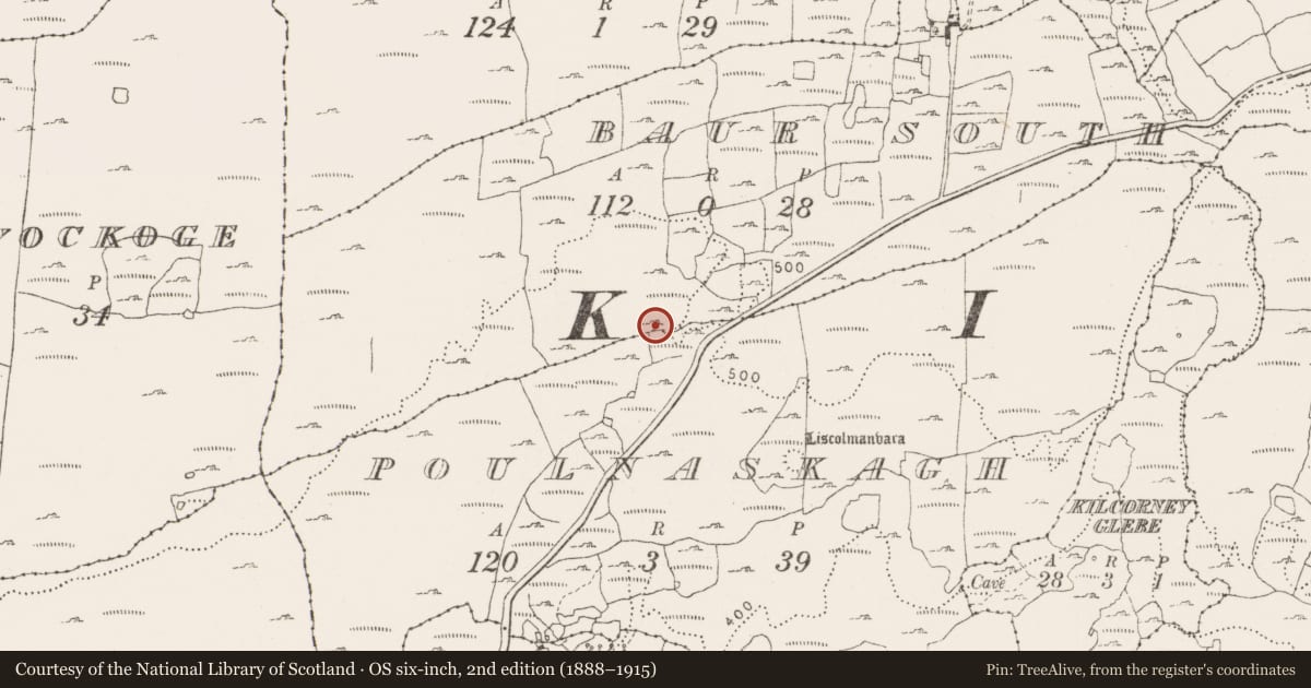 Ordnance Survey six-inch map, 2nd edition (1888–1915) covering the location of Cairn - unclassified, Baur South, County Clare, with a pin at the register's coordinates